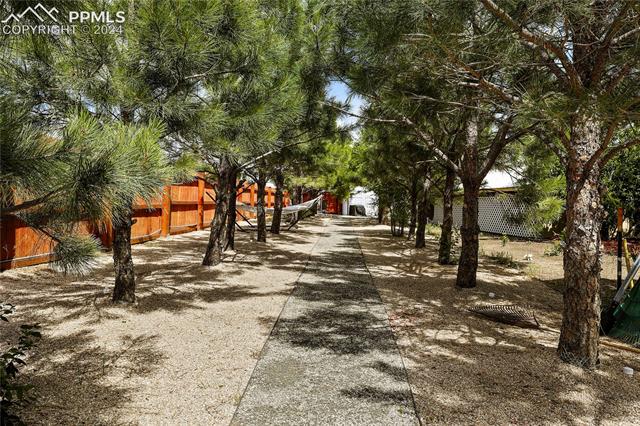 3976 Curtis Road Peyton, CO 80831 - Photo 33 of 44 View of yard