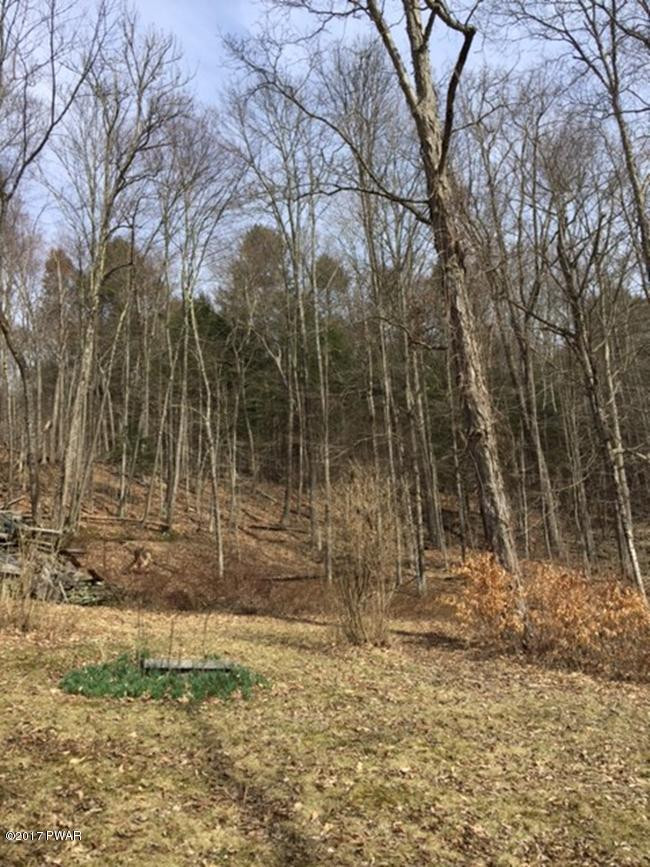 86 Raspberry Park Road Long Eddy, NY 12760 - Photo 4 of 14