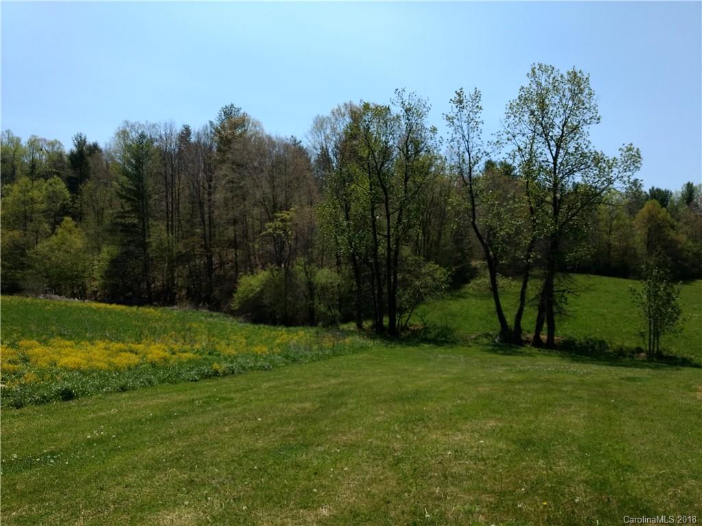 436 Sandy Branch Road Bakersville, NC 28705 - Photo 29 of 34 Gallery Image 29
