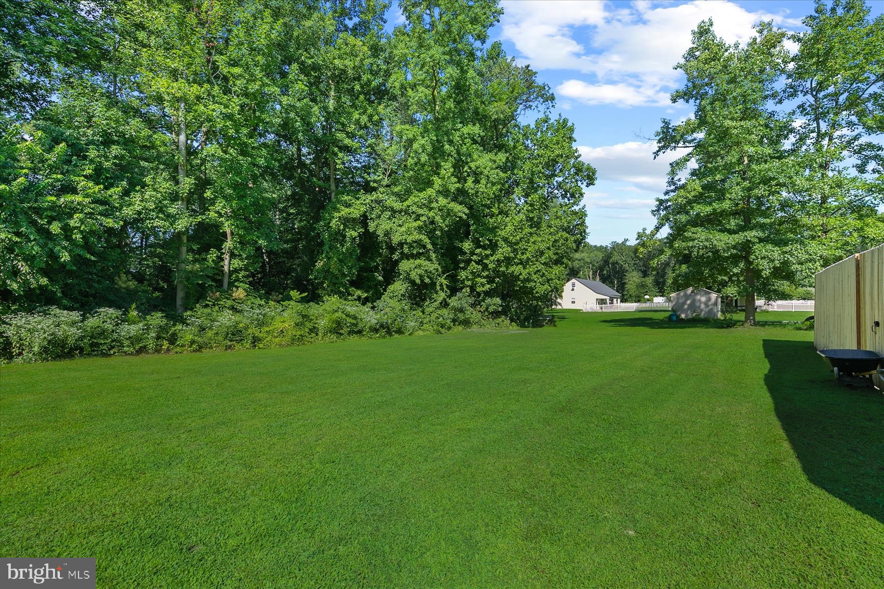 24910 Bethesda Road Georgetown, DE 19947 - Photo 25 of 27 Rear Yard Beyond Fenced Area