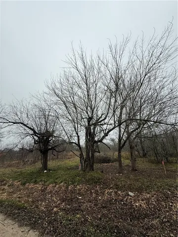 $12,500 | 0 Mickens Street, Calvert, TX 77837