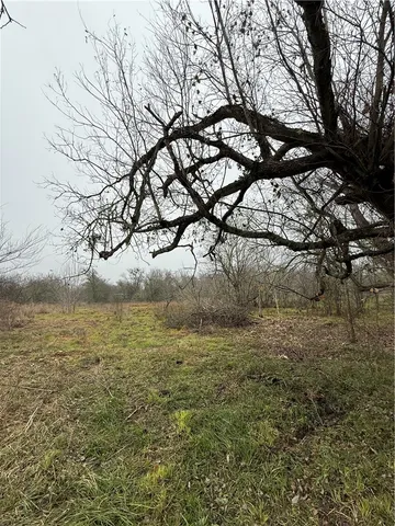 $12,500 | 0 Mickens Street, Calvert, TX 77837