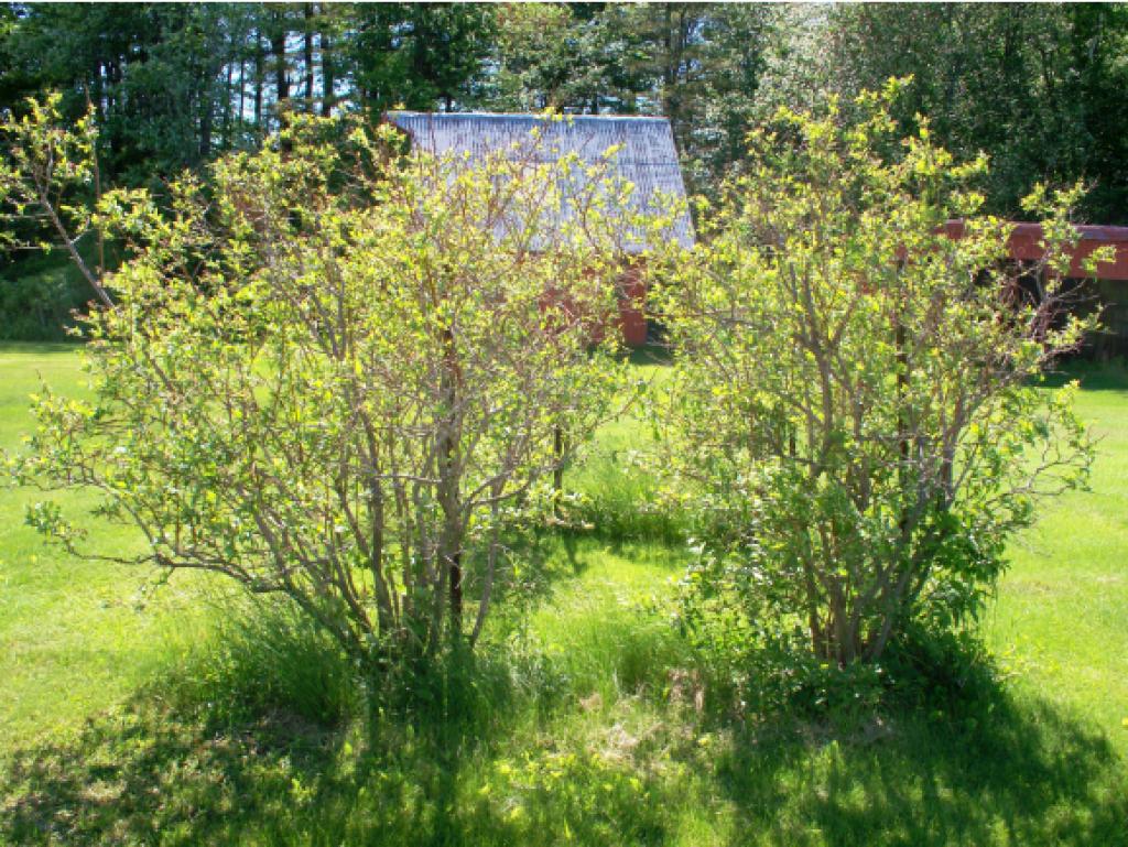 267 Smith Hill Road Franklin, NH 03235 - Photo 8 of 11 Gallery Image 8