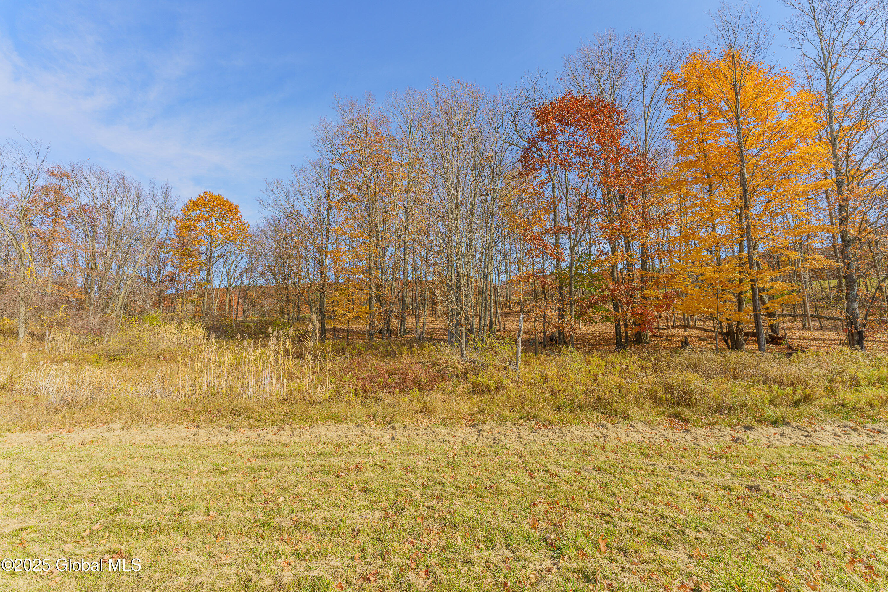 468 Snake Hill Road Poestenkill, NY 12140 - Photo 57 of 60 Yard 6