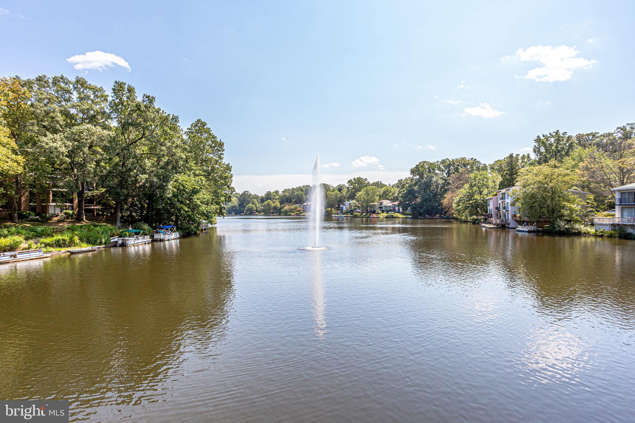 1669 Bandit Loop, Unit 209A Reston, VA 20190 - Photo 55 of 61 Reston's Lake Anne