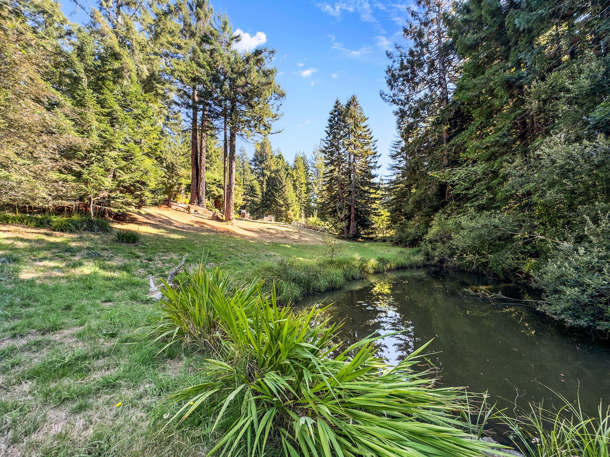 7097 Fickle Hill Road Arcata, CA 95521 - Photo 23 of 43