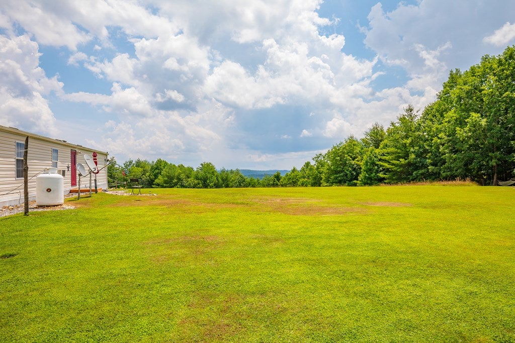1099 Pine Mountain Road Independence, VA 24348 - Photo 40 of 61 Gallery Image 40