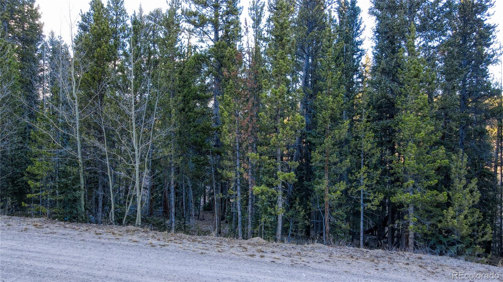 242 Pine Ridge Road Alma, CO 80420 - Photo 11 of 42 a view of a forest with trees in the background