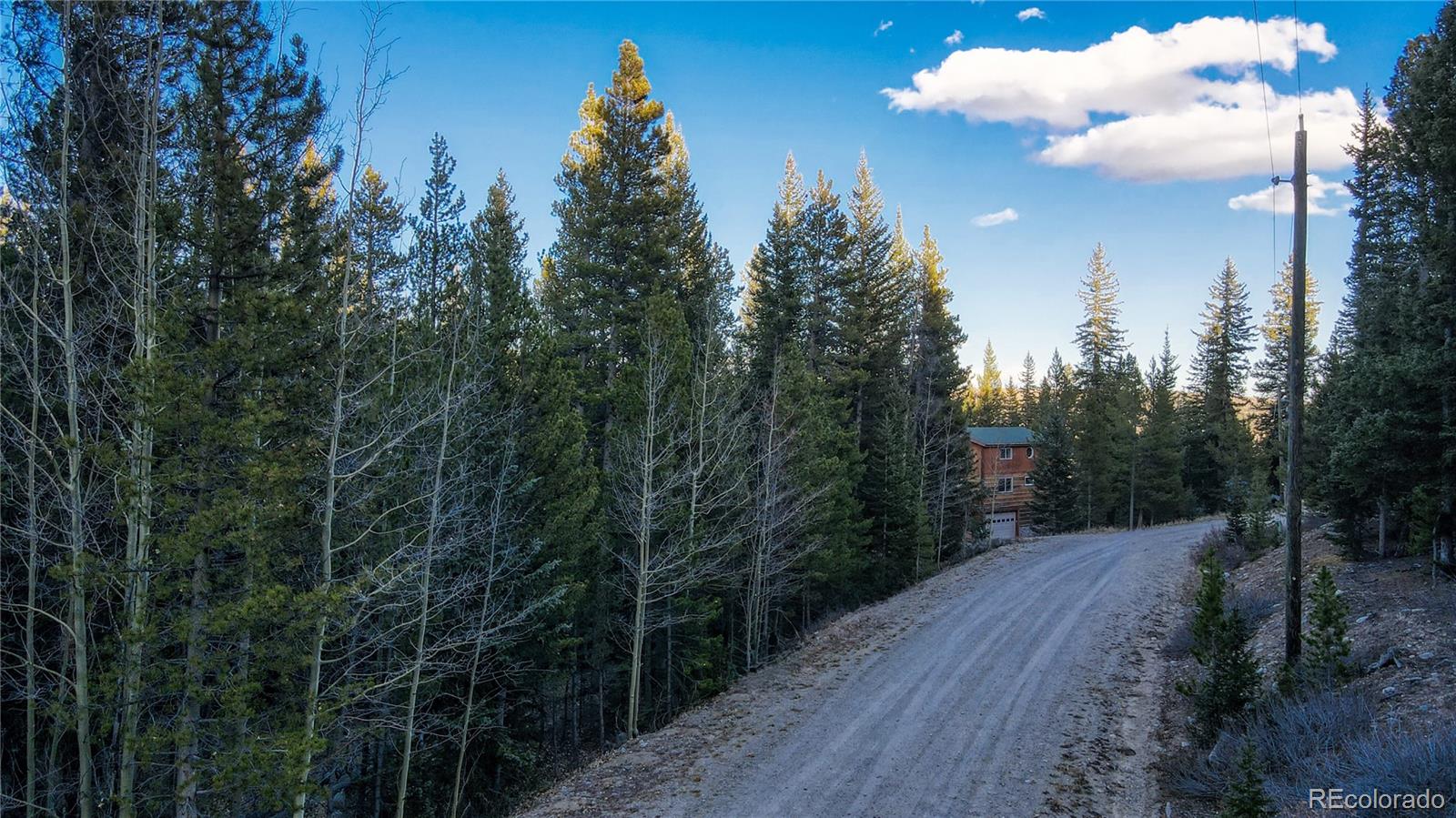 242 Pine Ridge Road Alma, CO 80420 - Photo 12 of 42 a view of a forest with a tree in the background