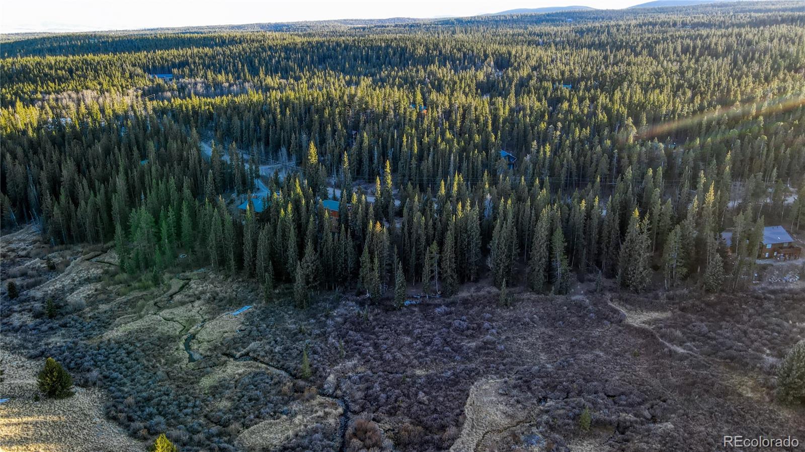 242 Pine Ridge Road Alma, CO 80420 - Photo 17 of 42 a view of a yard with plants and large trees