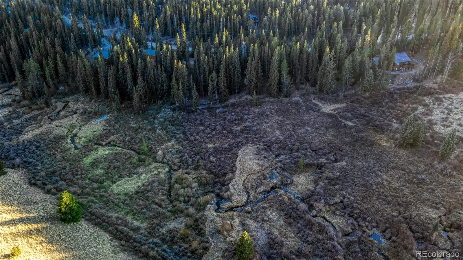 242 Pine Ridge Road Alma, CO 80420 - Photo 18 of 42 a view of outdoor space and yard