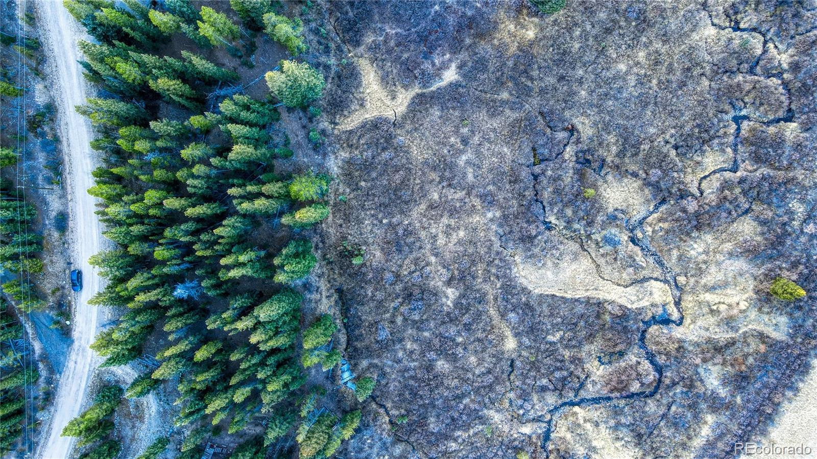 242 Pine Ridge Road Alma, CO 80420 - Photo 19 of 42 a backyard of a house with lots of trees