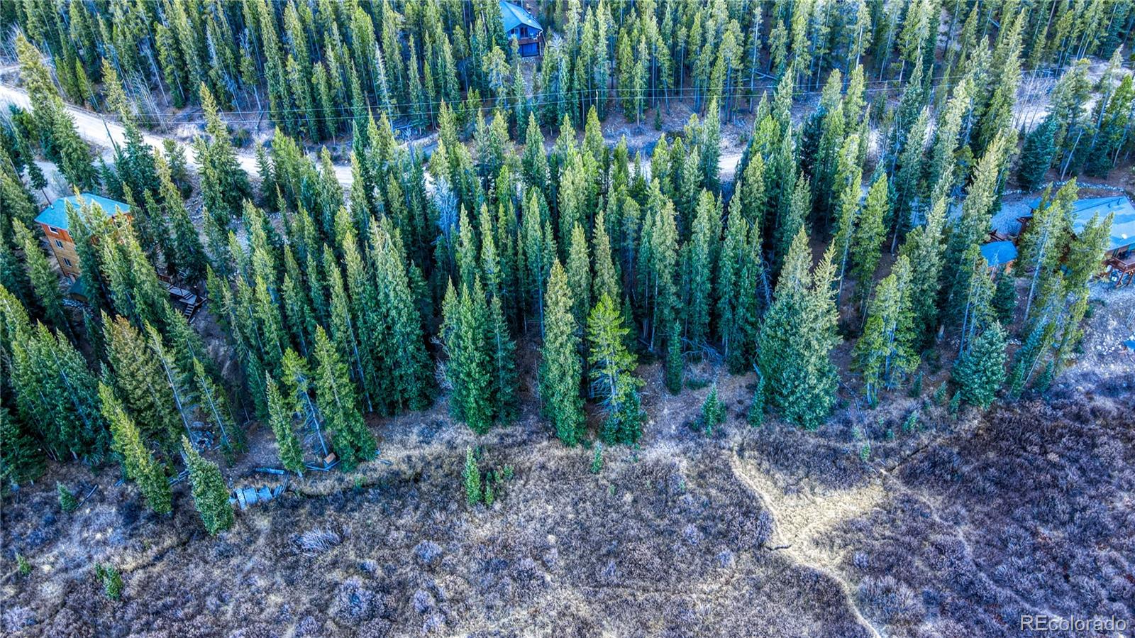 242 Pine Ridge Road Alma, CO 80420 - Photo 20 of 42 a view of a garden in a yard