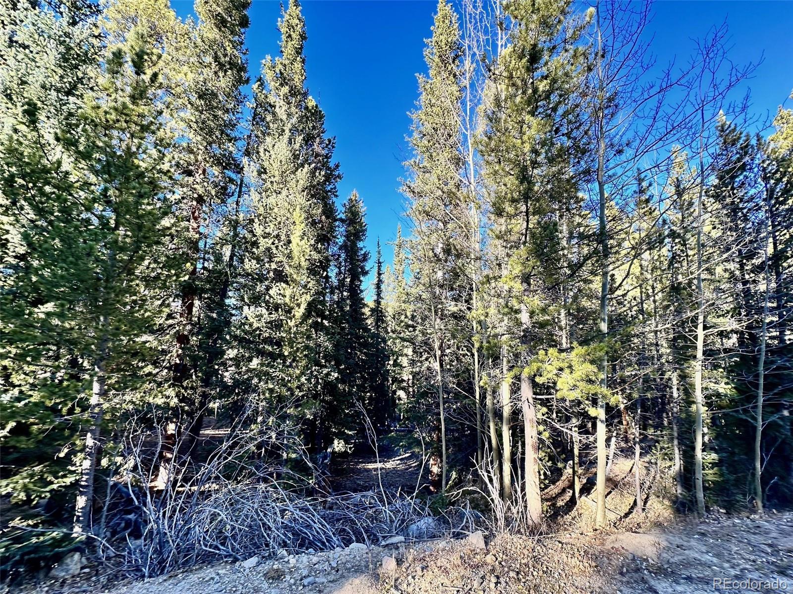 242 Pine Ridge Road Alma, CO 80420 - Photo 2 of 42