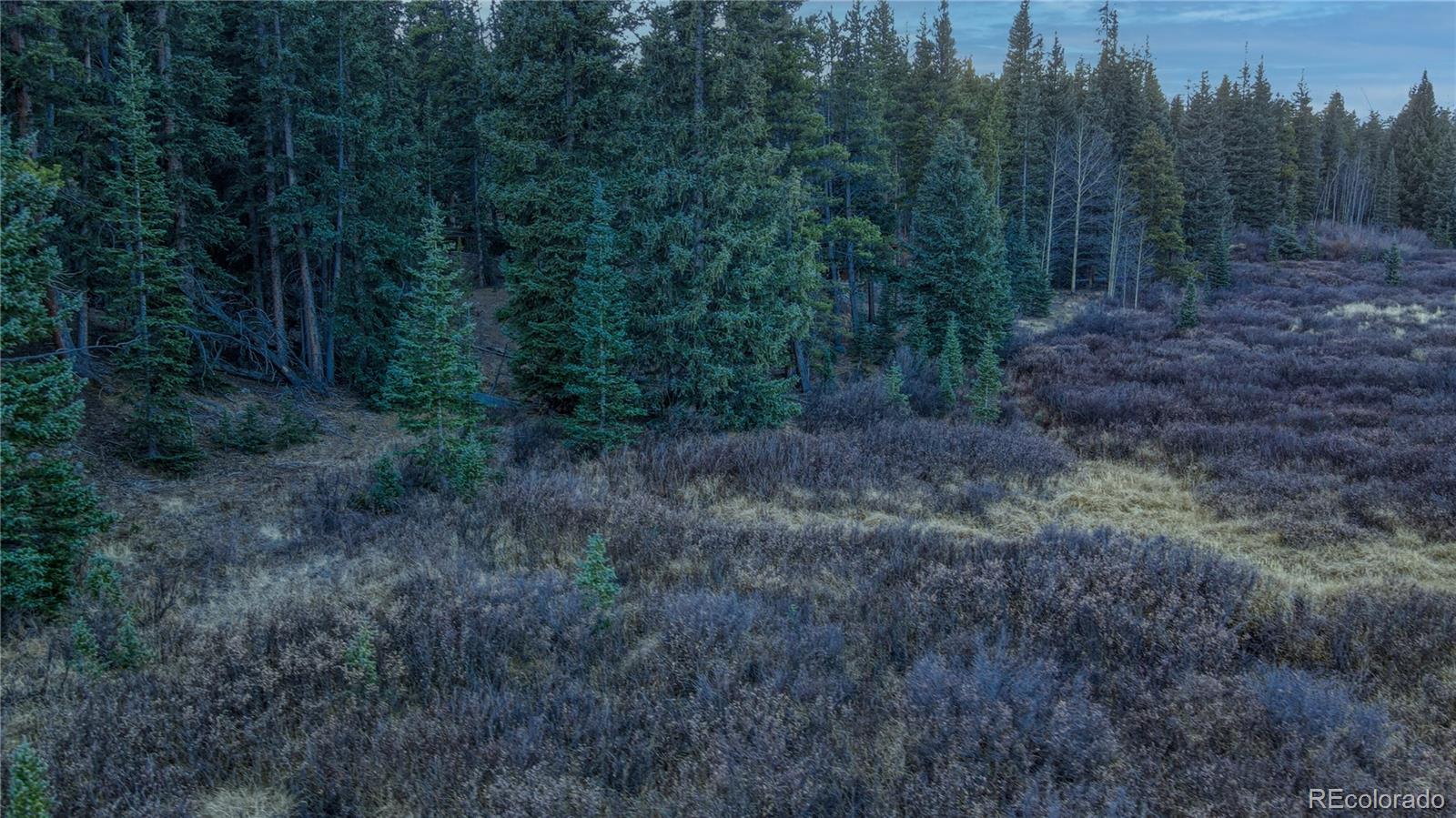 242 Pine Ridge Road Alma, CO 80420 - Photo 22 of 42 a view of a forest with trees in the background