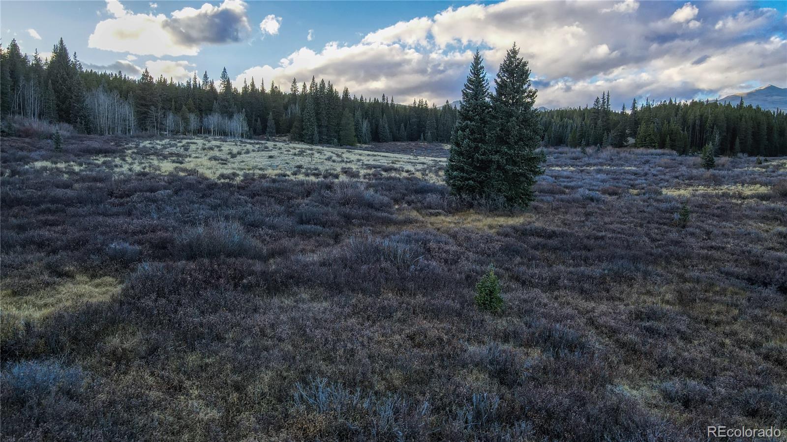 242 Pine Ridge Road Alma, CO 80420 - Photo 23 of 42 a view of a yard