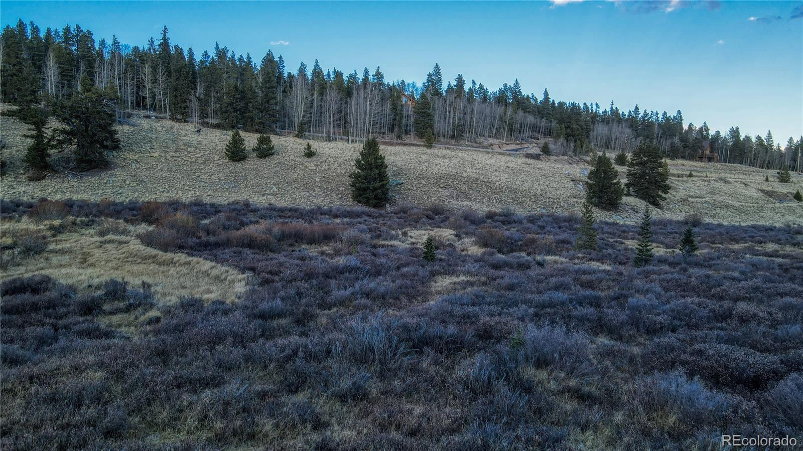242 Pine Ridge Road Alma, CO 80420 - Photo 25 of 42 a view of a dry yard with trees