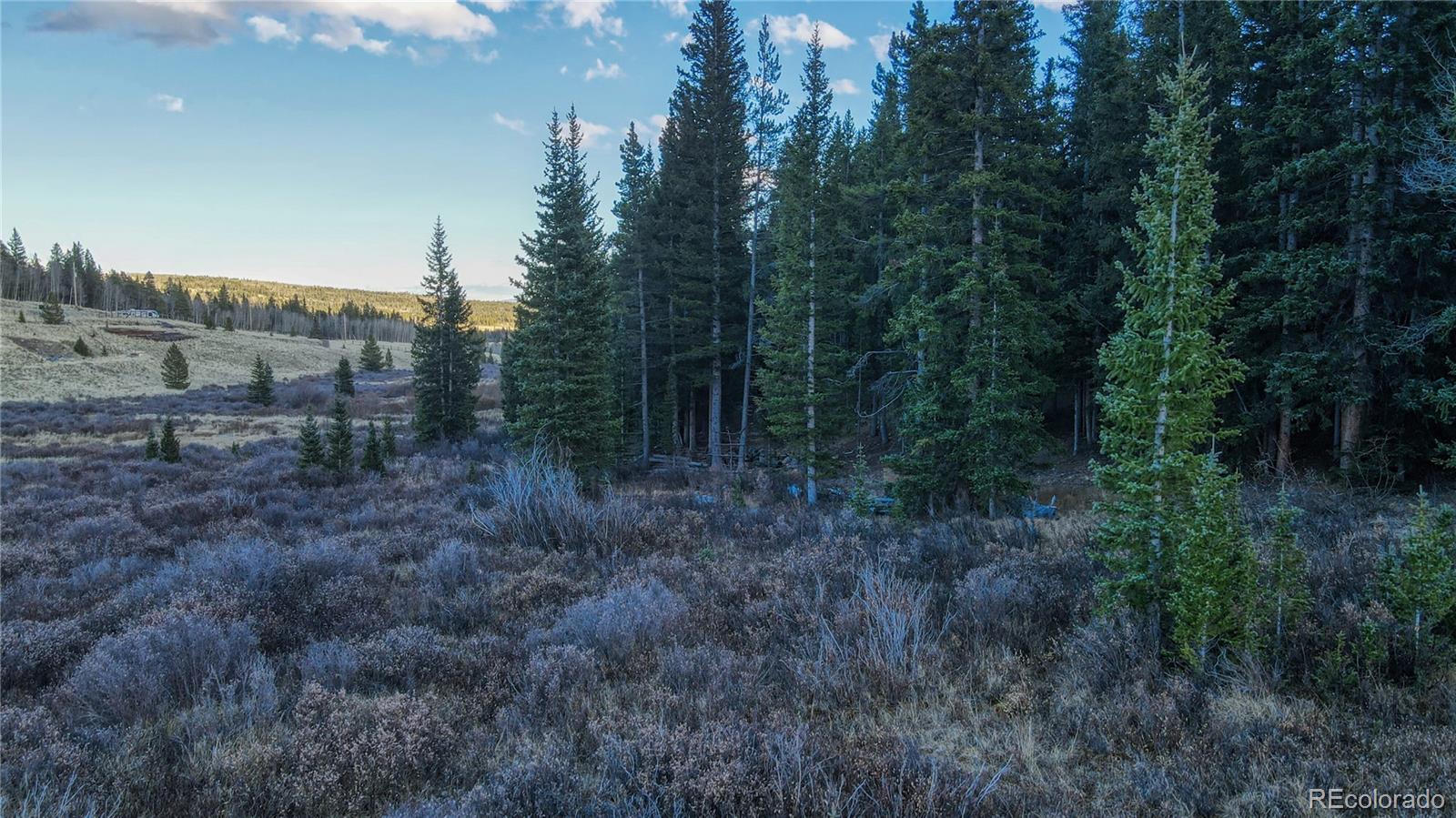 242 Pine Ridge Road Alma, CO 80420 - Photo 26 of 42 a view of a dry yard with trees and wooden fence