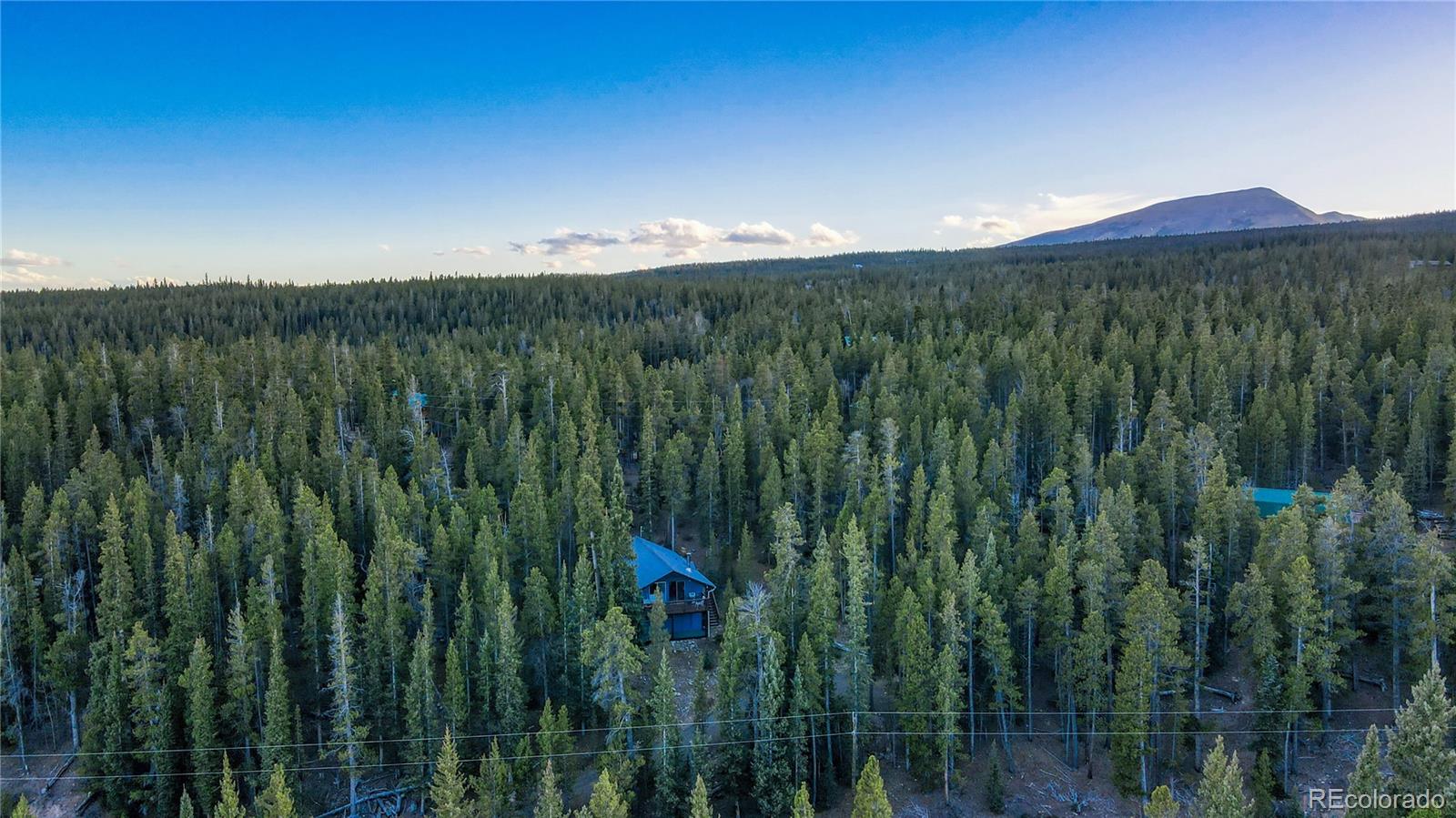 242 Pine Ridge Road Alma, CO 80420 - Photo 28 of 42 a view of a lush green space with sea