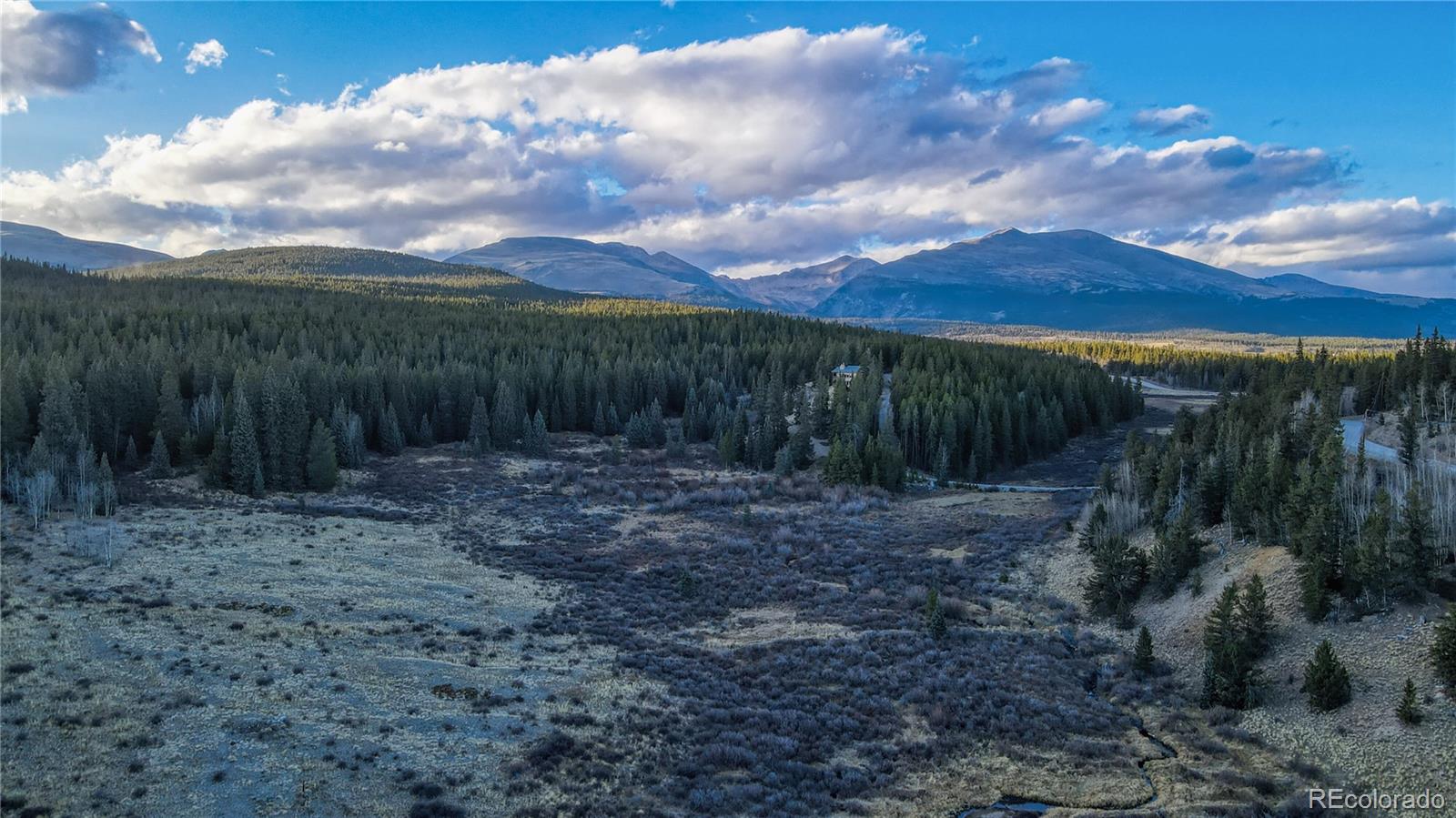 242 Pine Ridge Road Alma, CO 80420 - Photo 30 of 42 a view of a yard with a tree