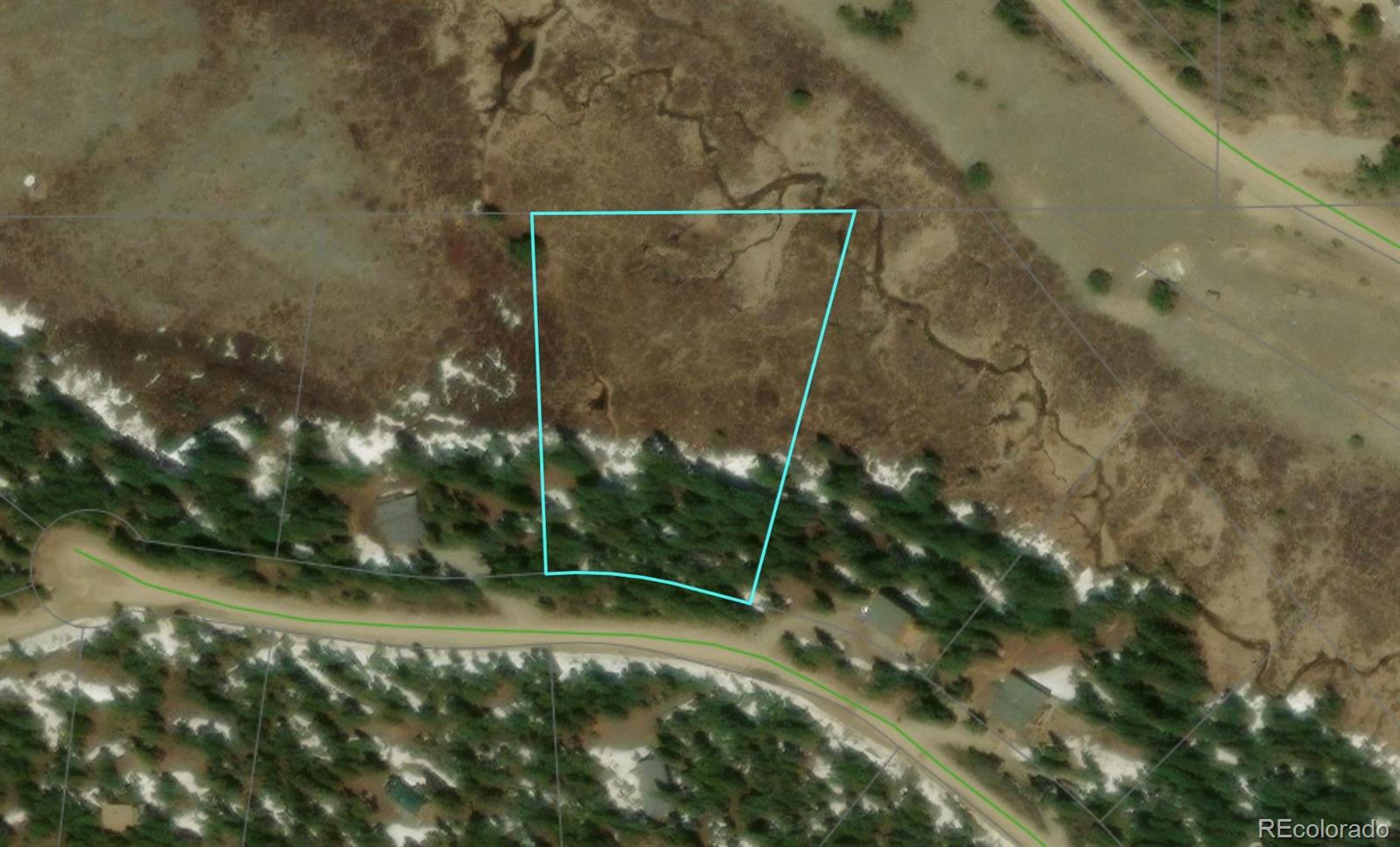 242 Pine Ridge Road Alma, CO 80420 - Photo 3 of 42 a view of a yard