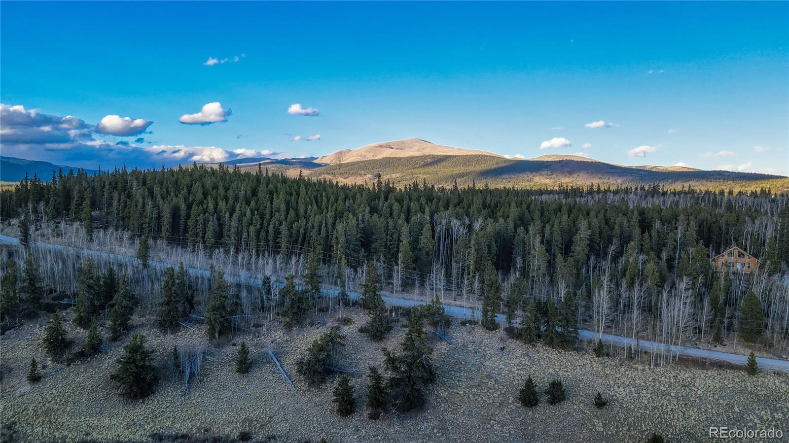 242 Pine Ridge Road Alma, CO 80420 - Photo 31 of 42 a view of a street