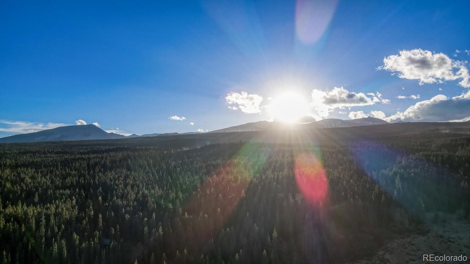 242 Pine Ridge Road Alma, CO 80420 - Photo 40 of 42 a view of a yard in a hall with wooden floor and a yard