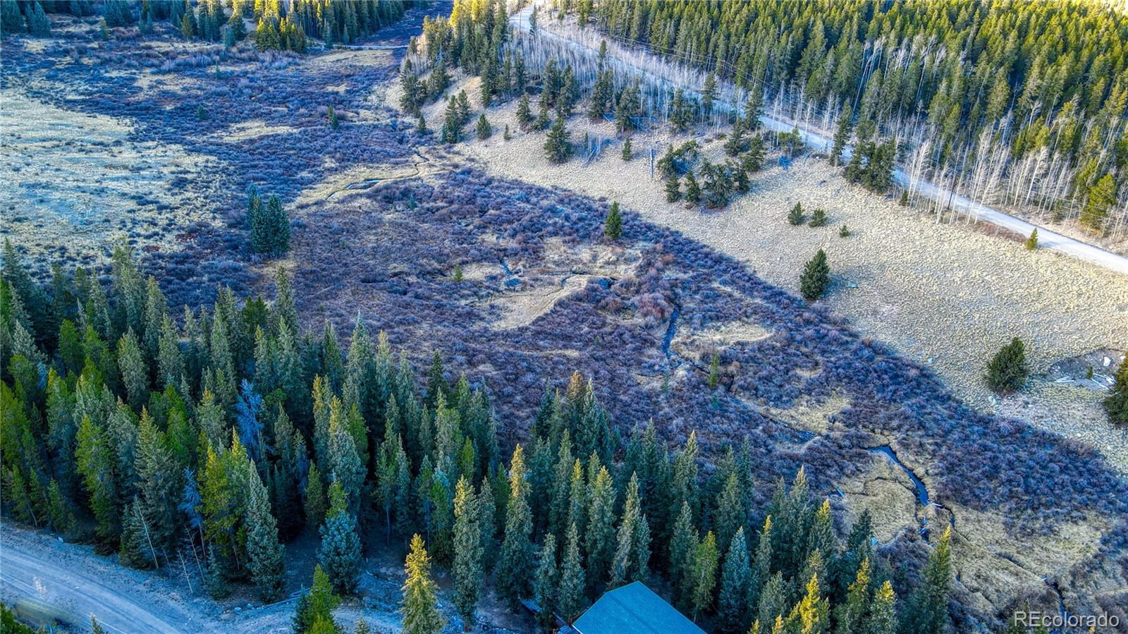 242 Pine Ridge Road Alma, CO 80420 - Photo 5 of 42 a backyard of a house with lots of green space