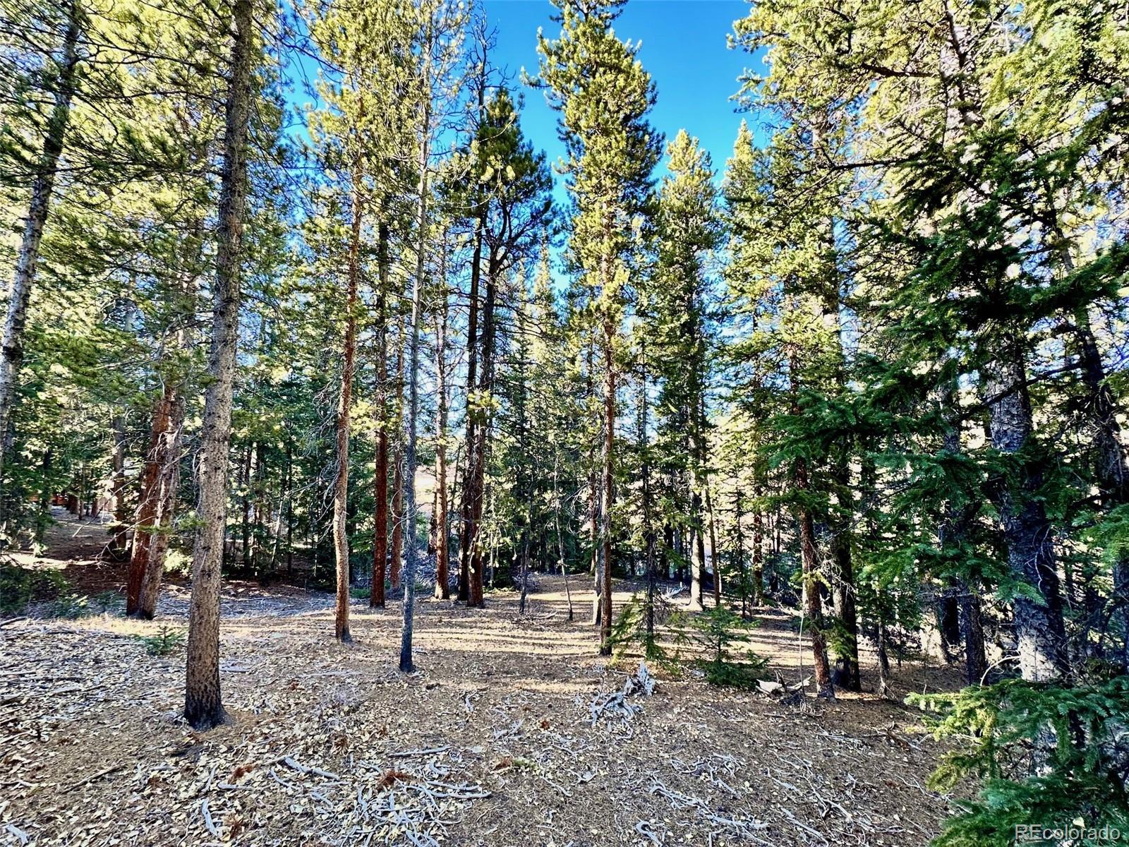 242 Pine Ridge Road Alma, CO 80420 - Photo 7 of 42 a view of park