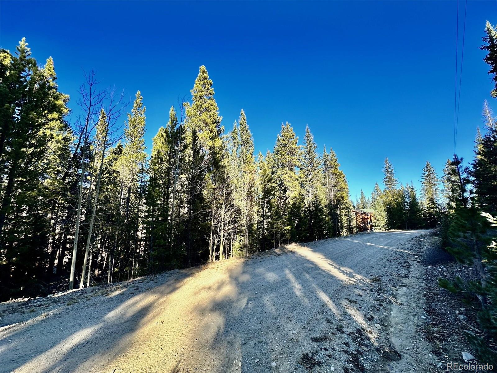242 Pine Ridge Road Alma, CO 80420 - Photo 8 of 42 a view of a trees with outside space