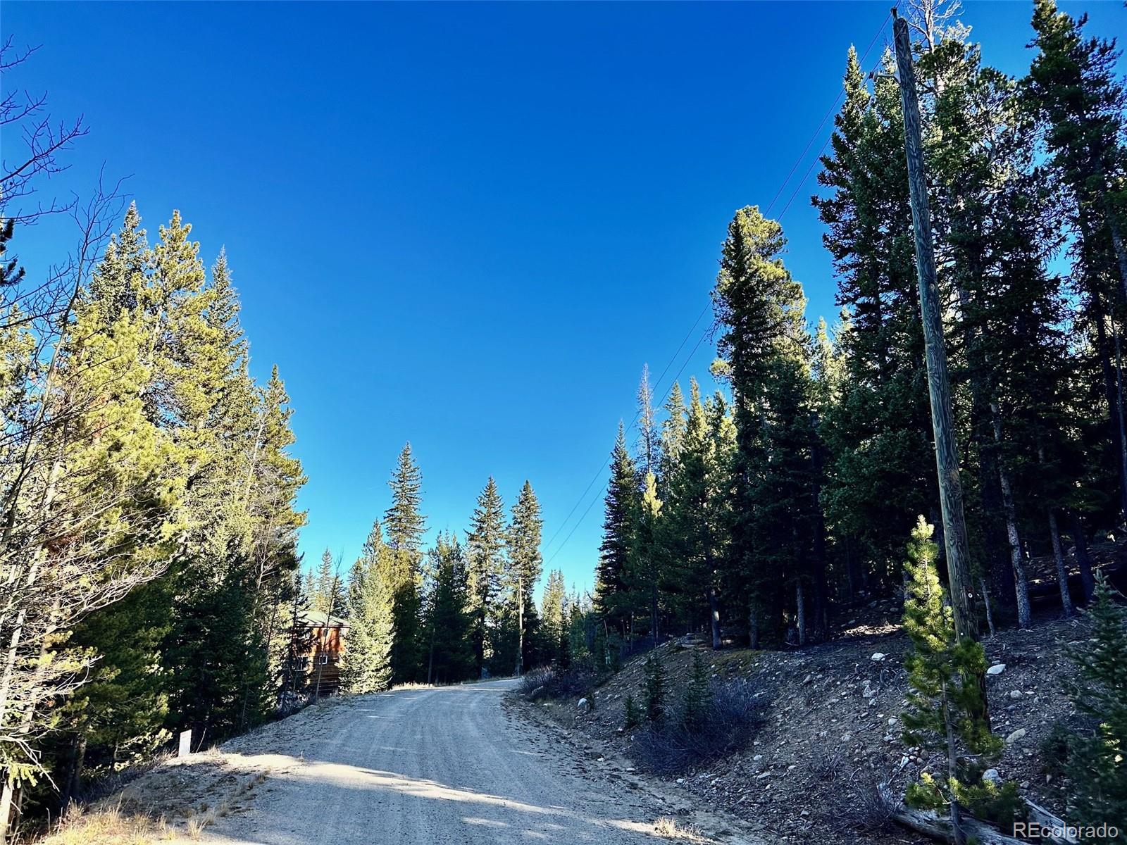 242 Pine Ridge Road Alma, CO 80420 - Photo 9 of 42