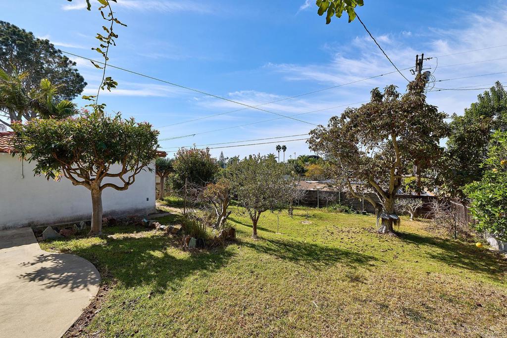920 Stratford Drive Encinitas, CA 92024 - Photo 22 of 57 a view of a yard with an tree