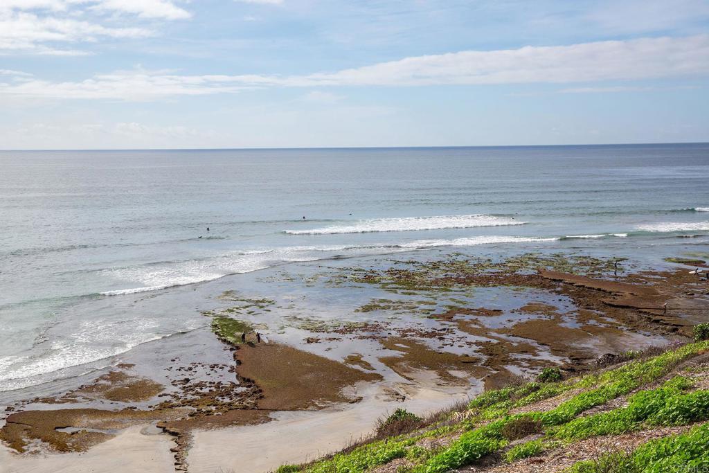 920 Stratford Drive Encinitas, CA 92024 - Photo 47 of 57