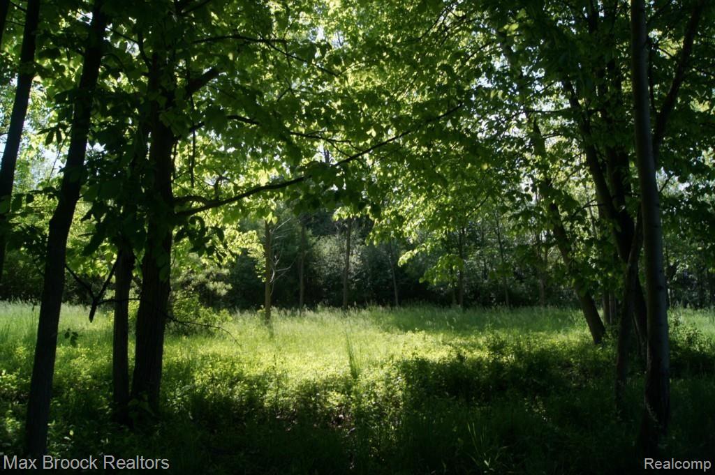 1 Farmbrook Road Southfield, MI 48034 - Photo 25 of 49