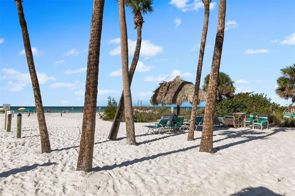 6500 Midnight Pass Road, Unit 208 Sarasota, FL 34242 - Photo 34 of 36 a view of tall trees