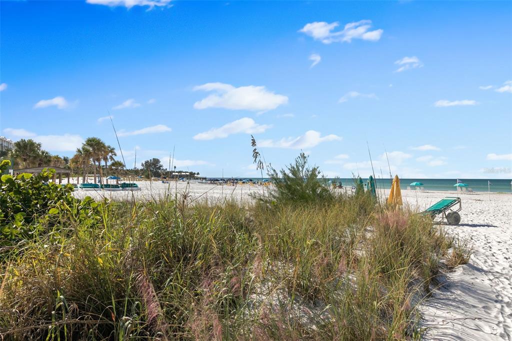 6500 Midnight Pass Road, Unit 208 Sarasota, FL 34242 - Photo 36 of 36 a view of a lake