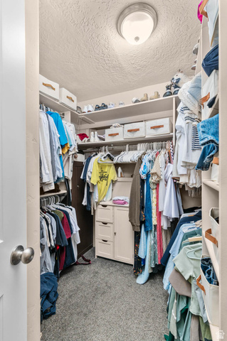 1489 North 400 West Bountiful, UT 84010 - Photo 16 of 47 Walk-in closet featuring built-in shelving, hanging rods, an integrated drawer unit, and soft carpet flooring