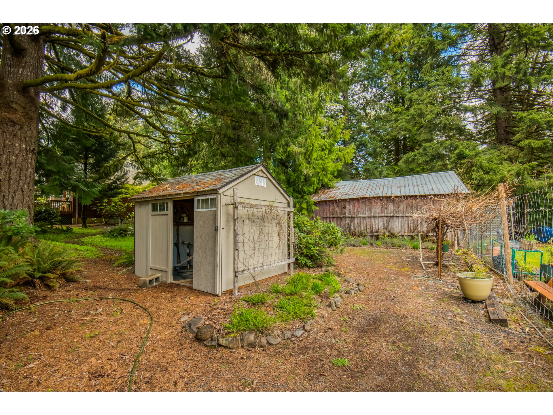 56888 Northwest Strassel Road Forest Grove, OR 97116 - Photo 36 of 48 a view of a backyard with large trees and a barn