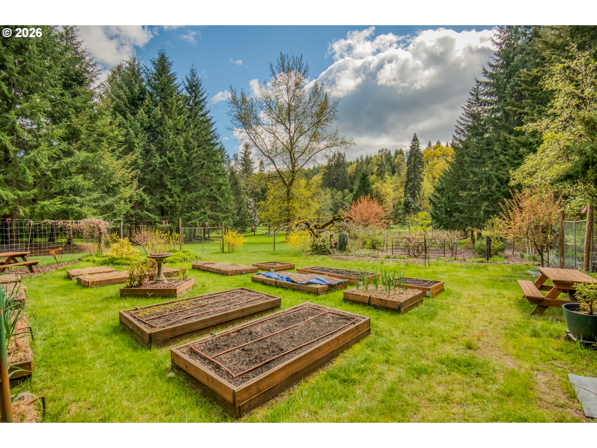 56888 Northwest Strassel Road Forest Grove, OR 97116 - Photo 37 of 48 a view of a swimming pool with lounge chairs