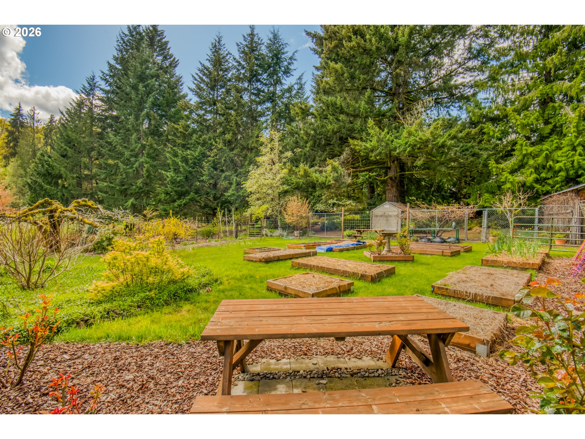 56888 Northwest Strassel Road Forest Grove, OR 97116 - Photo 38 of 48 a view of a backyard with swimming pool