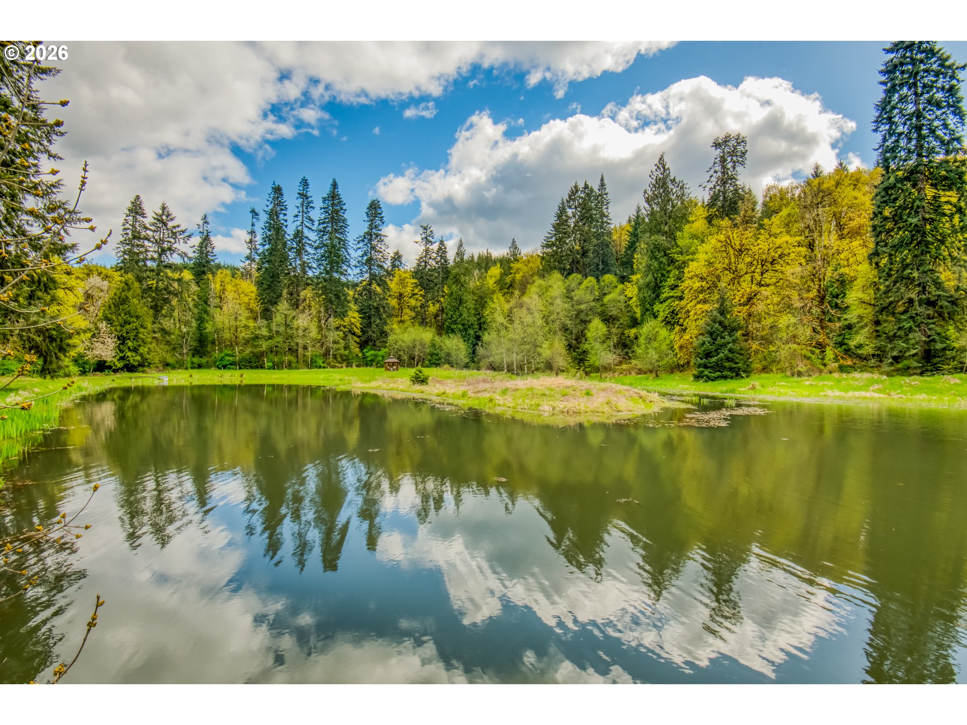 56888 Northwest Strassel Road Forest Grove, OR 97116 - Photo 41 of 48 a view of lake with green space