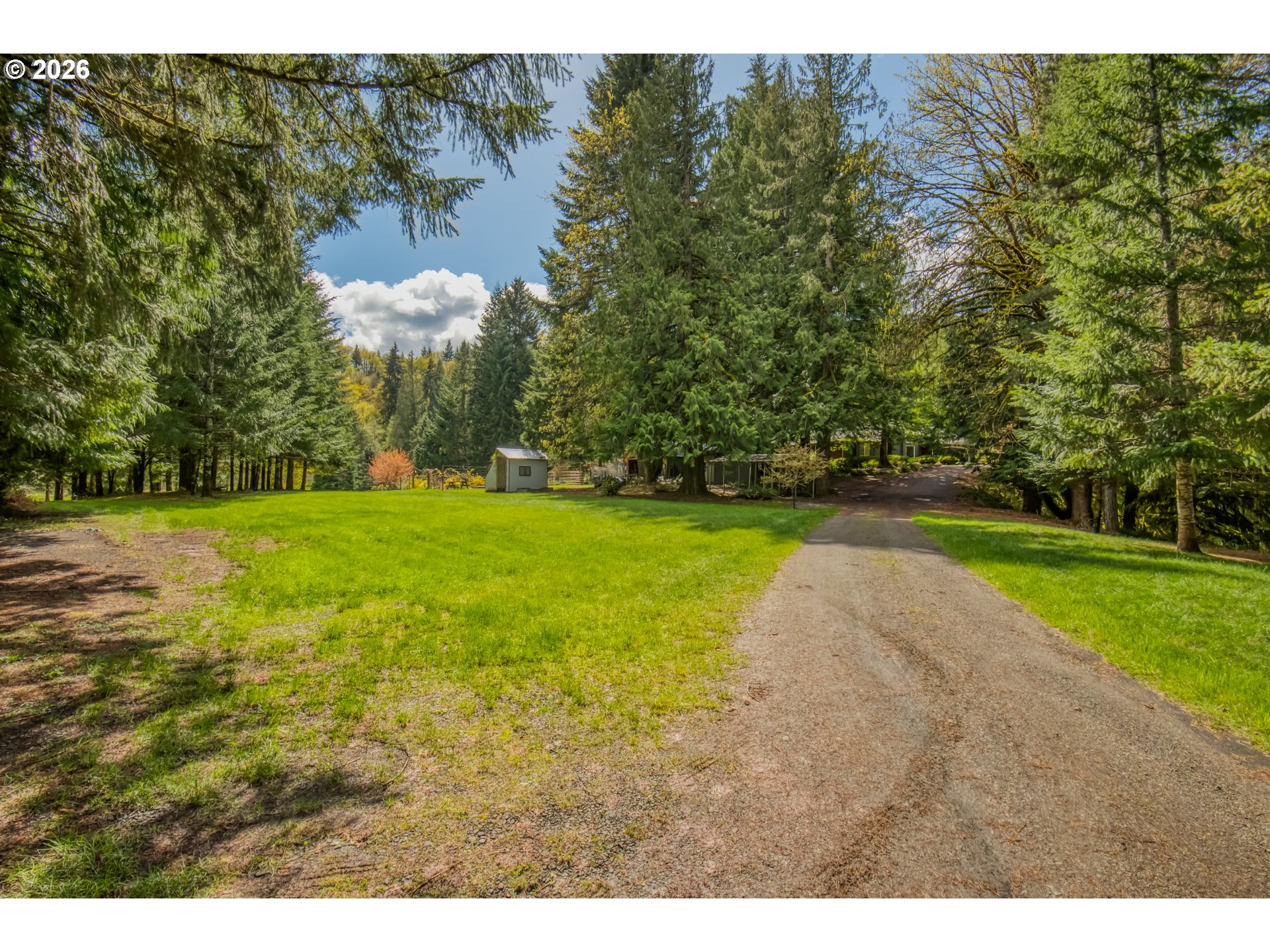 56888 Northwest Strassel Road Forest Grove, OR 97116 - Photo 48 of 48 a view of a yard with a tree