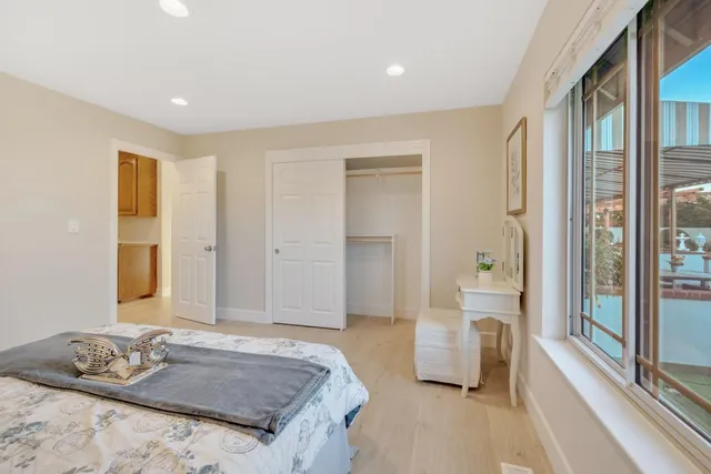 a view of a park with large trees