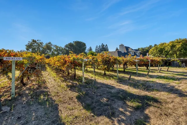 $3,280,000 | 9890 Lantz Drive, Morgan Hill, CA 95037