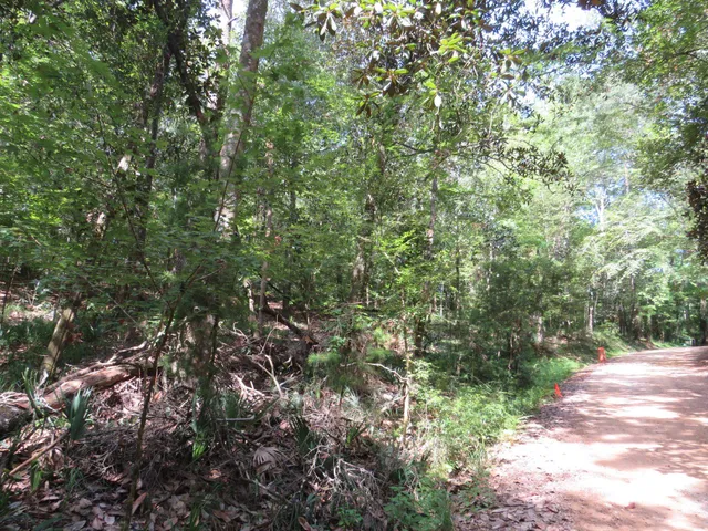 $44,900 | Xxx Tallavana Trail, Havana, FL 32333