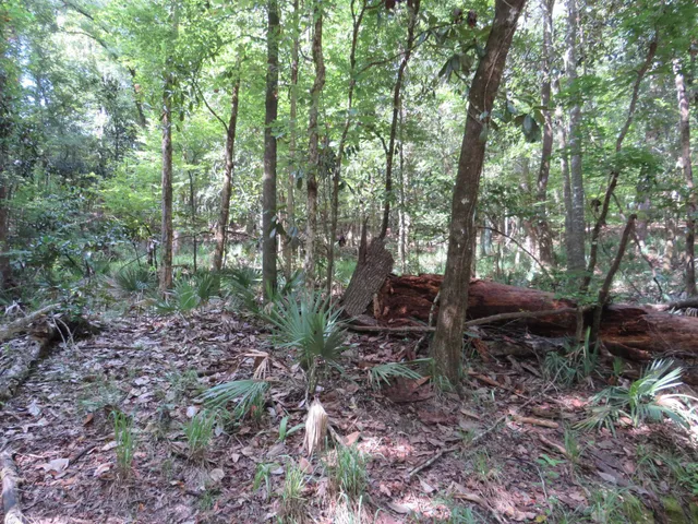 $44,900 | Xxx Tallavana Trail, Havana, FL 32333