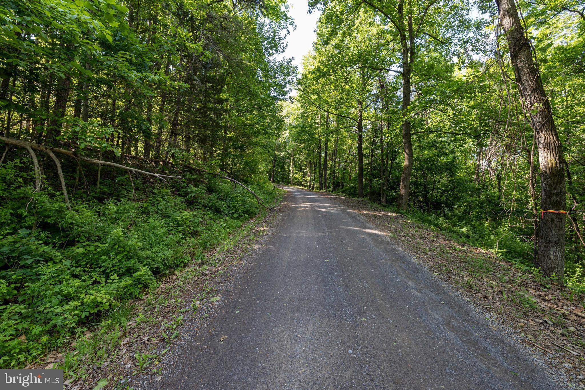 0 Cross Mountain Road Luray, VA 22835 - Photo 41 of 51