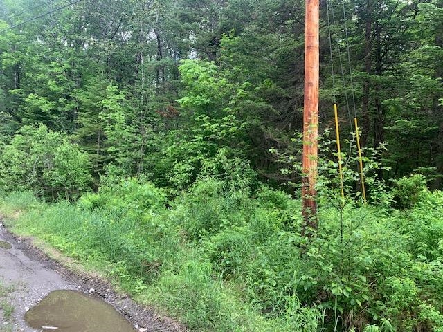 Tbd Griffin Road Stewartstown, NH 03576 - Photo 2 of 5