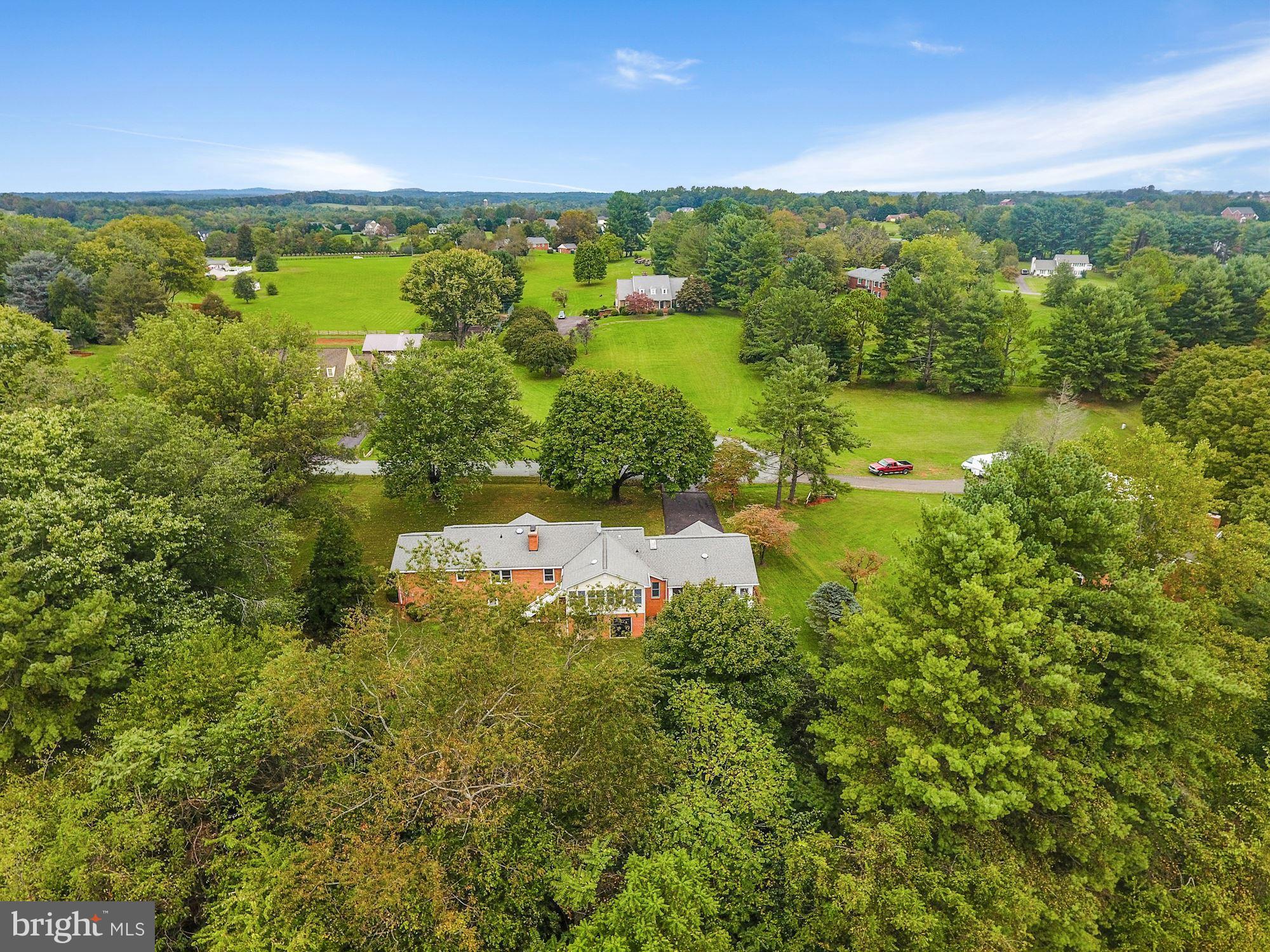 11502 Fox Hill Road Culpeper, VA 22701 - Photo 45 of 49 Surrounded by natural beauty