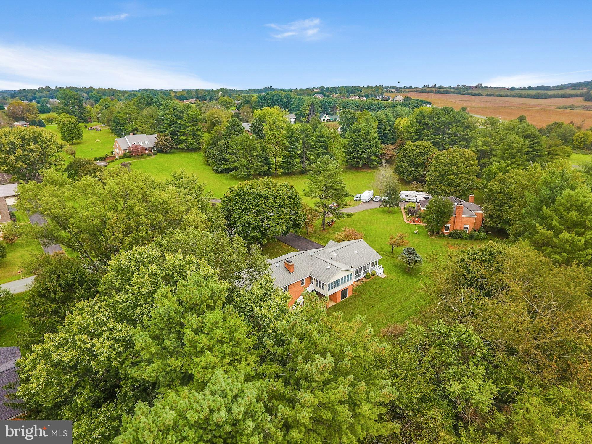 11502 Fox Hill Road Culpeper, VA 22701 - Photo 46 of 49 Quiet, established neighborhood